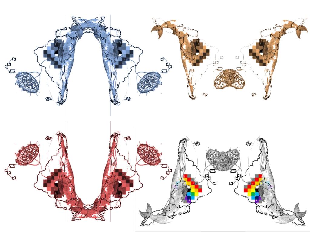 La Previa II (Pequeños Relatos&nbsp;Alebrijes)