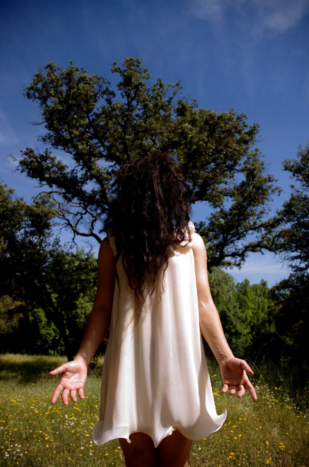 El Asesino de&nbsp;Almas