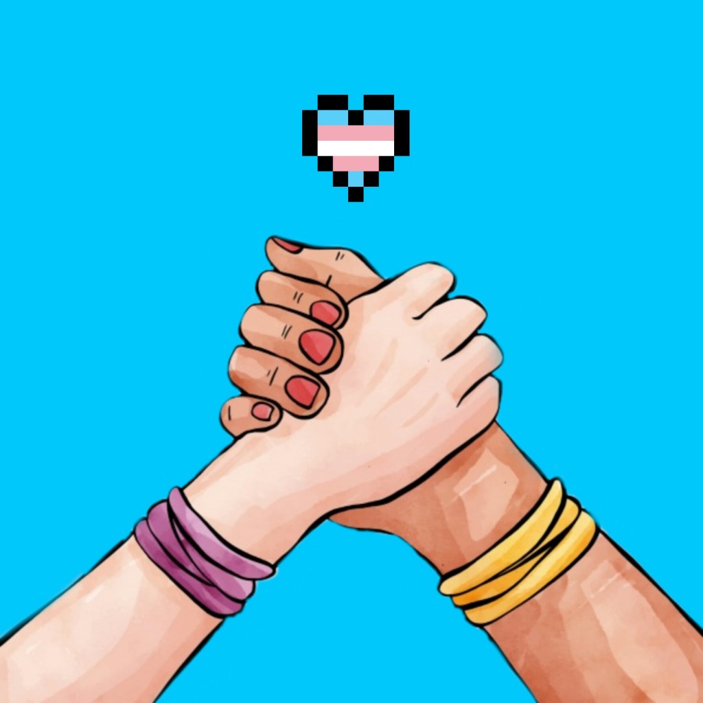 Declaratoria de principios sobre personas&nbsp;trans