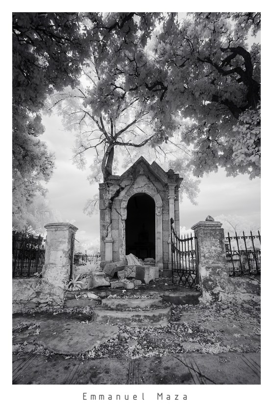 71716180_2392416731027122_2575541082519502848_o